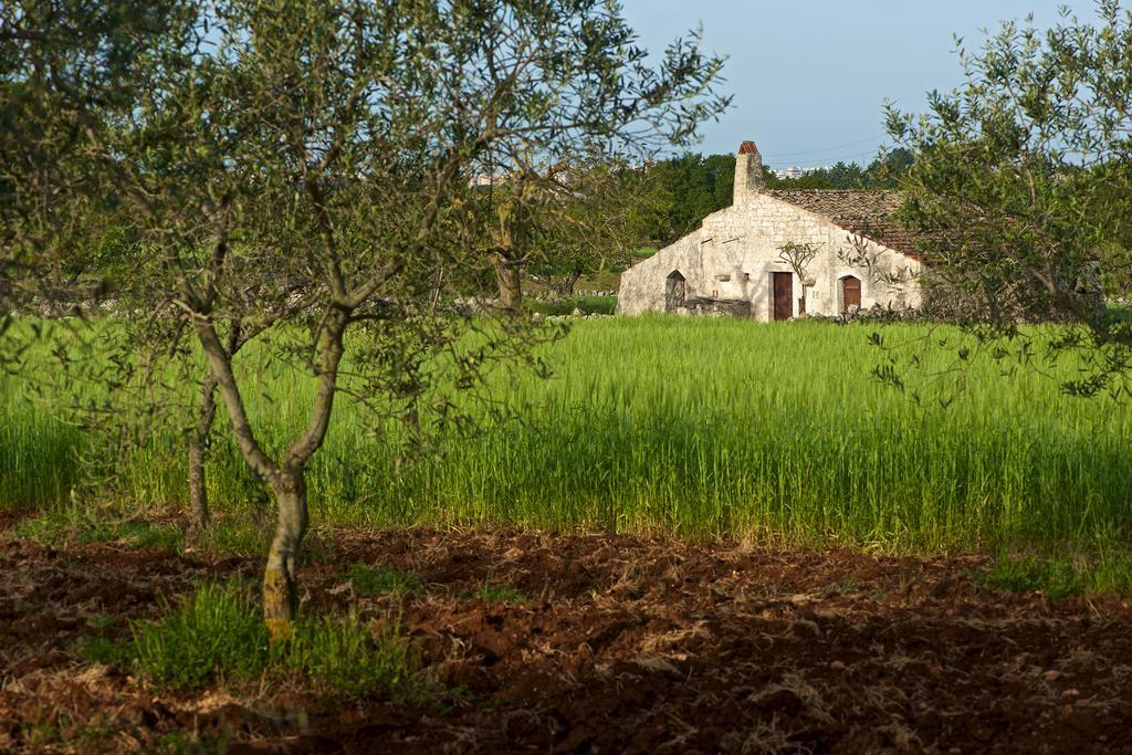 Masseria Ciavea 乔亚德尔科尔 外观 照片