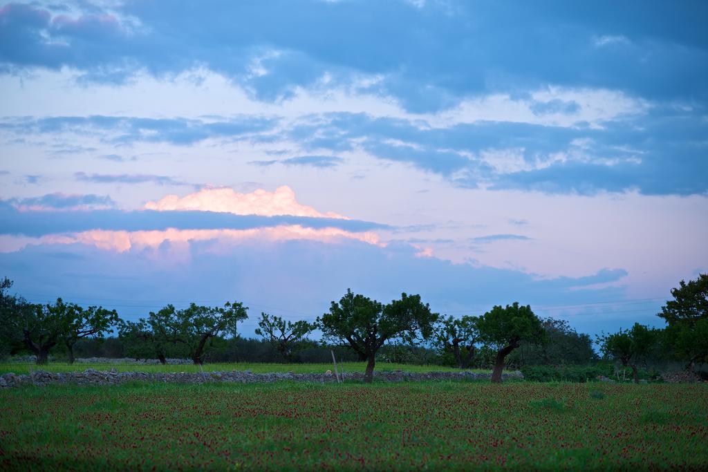 Masseria Ciavea 乔亚德尔科尔 外观 照片